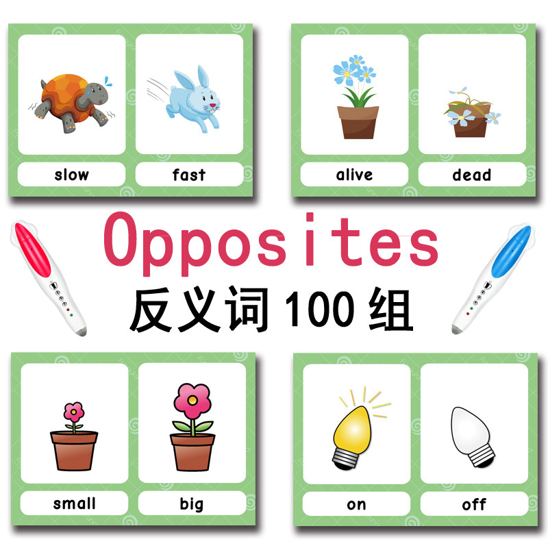 The 100 Groups Opposites Flash - đánh giá và giá Kid Education