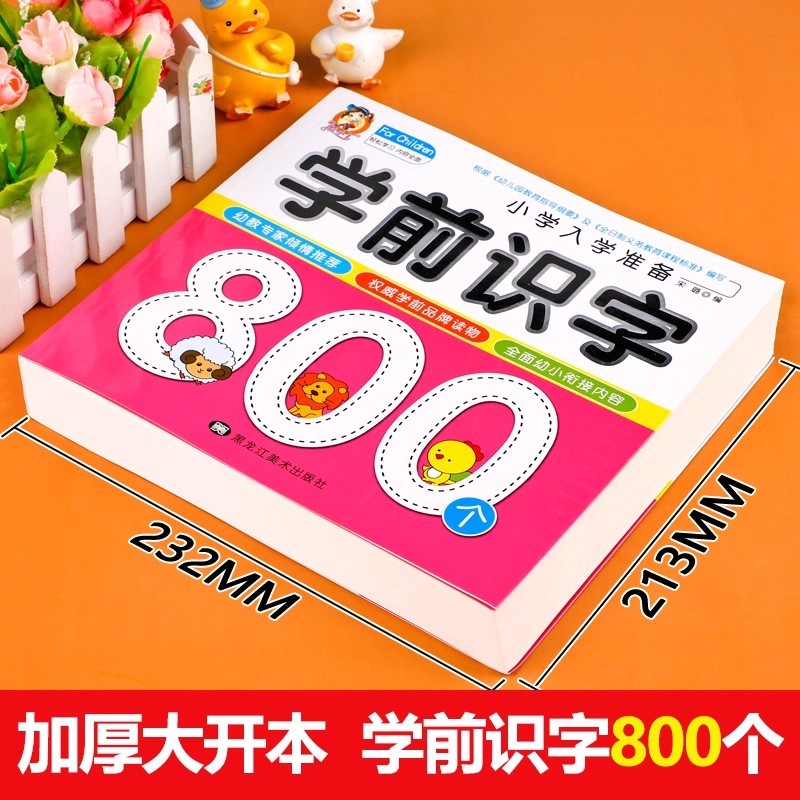 Preschool Literacy: 800 Chines - đánh giá và giá Kid Education