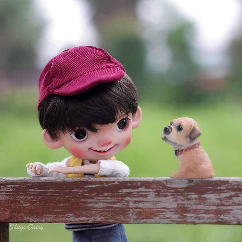 BJD Doll Jief 1/6 Ruth MA Body - đánh giá và giá Kids Education App
